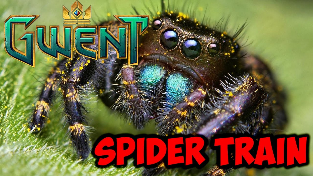 Gwent: Поезд пауков ~ Кошмары ~ Гвинт: Ведьмак. Карточная игра, рейтинговый режим, 15-й ранг