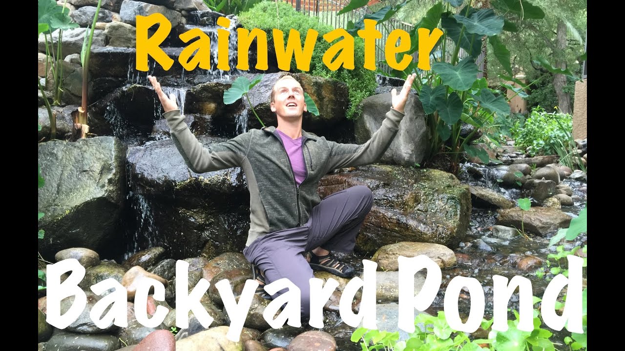 Amazing Backyard Pond, Stream, & Waterfall Uses 100% Rainwater in the Desert
