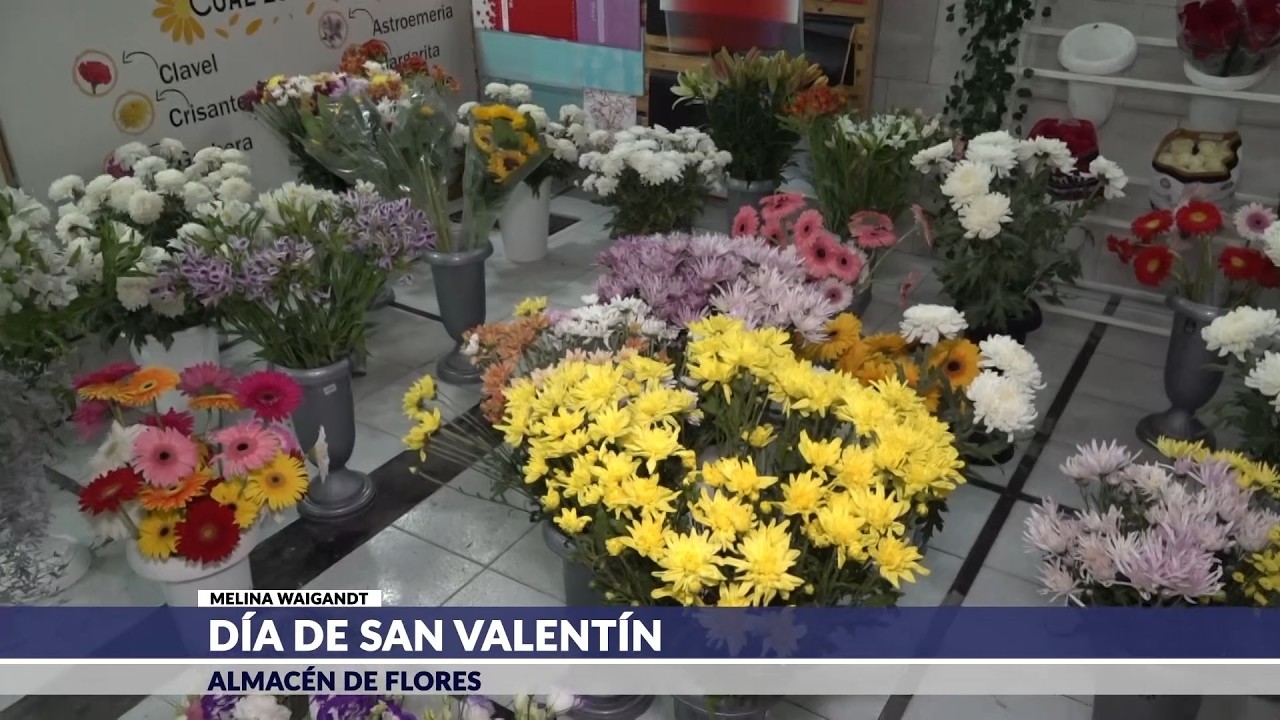 Día de San Valentín - Almacén de Flores