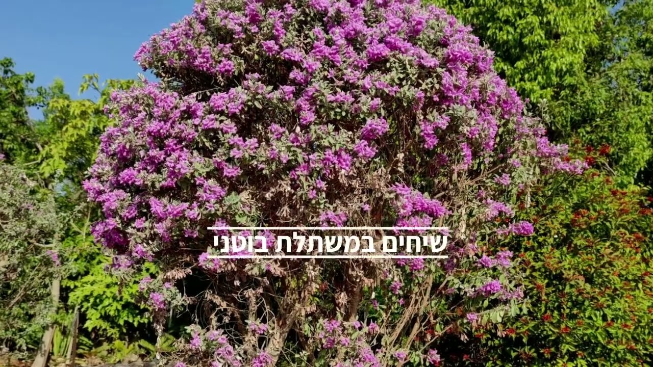 שיחים במשתלת בוטני