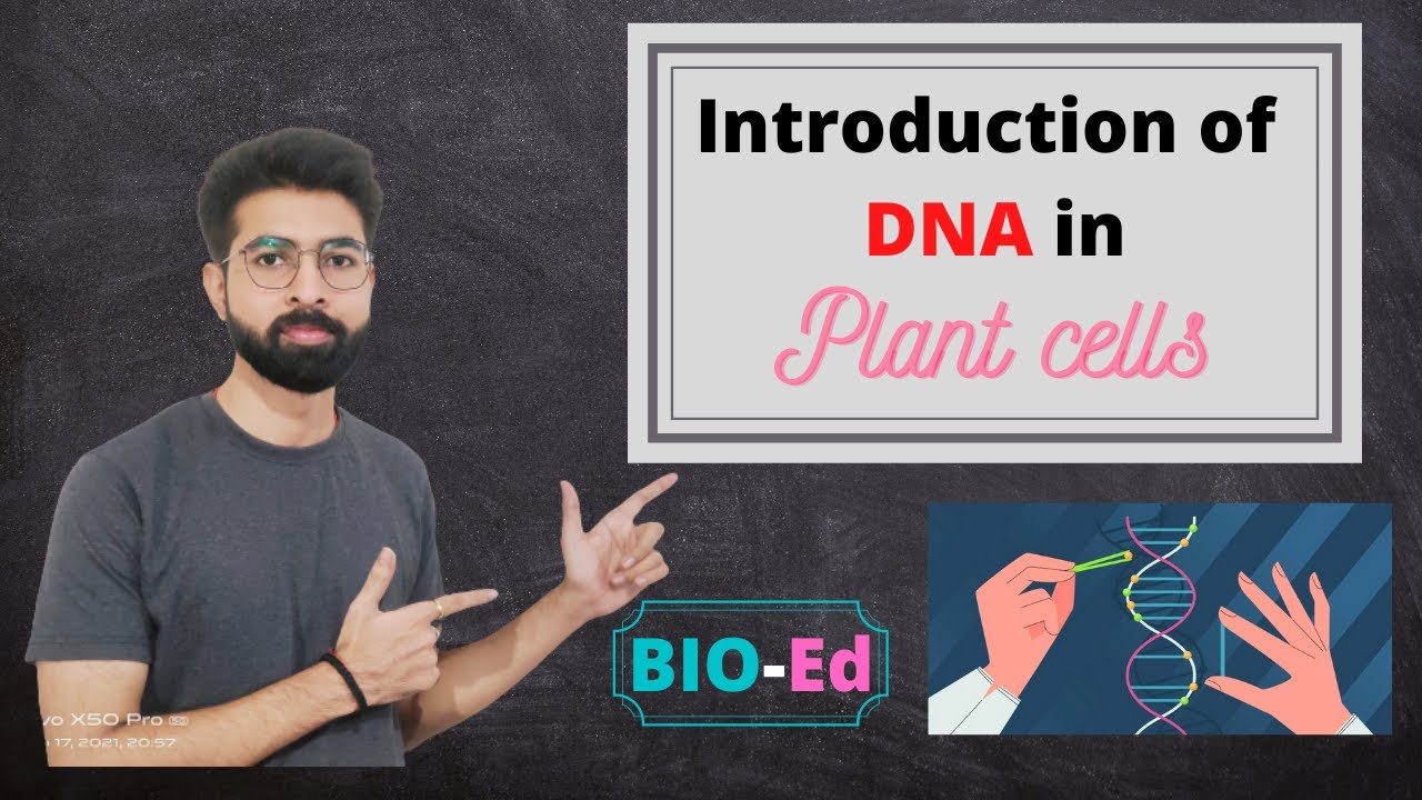 Introduction of DNA in plant Cells || Recombinant DNA Technology ||
