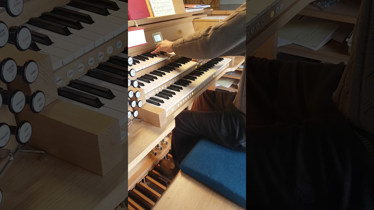 Johannus Ecclessia D'350 Orchestral oboe and strings improvisation. Song for Ami.