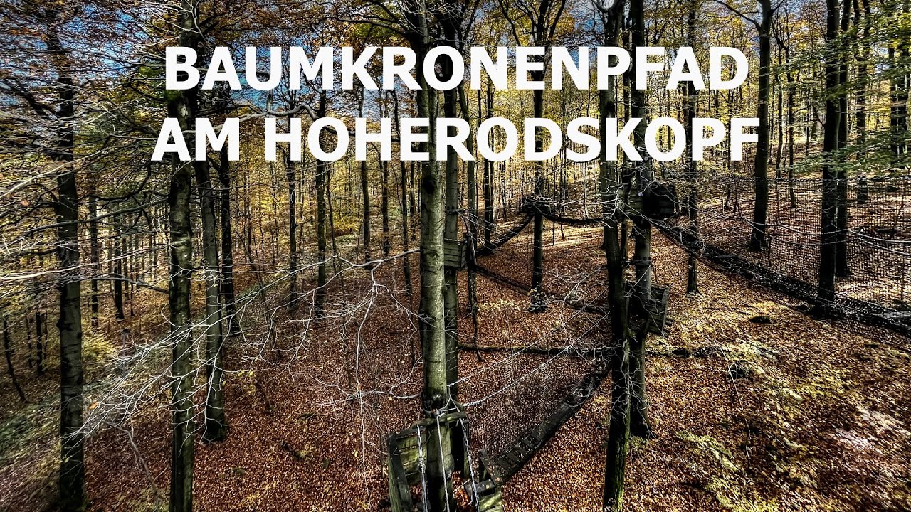 Baumkronenpfad Hoherodskopf &bull; Naturpark Hoher Vogelsberg