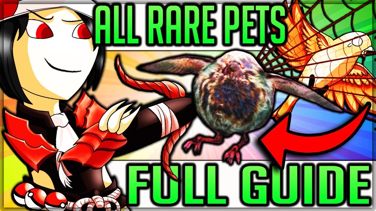 Top 5 Rare Pets in Monster Hunter World - BEST THING IN GAME! (ALL Capture Achievement/Trophy Guide)