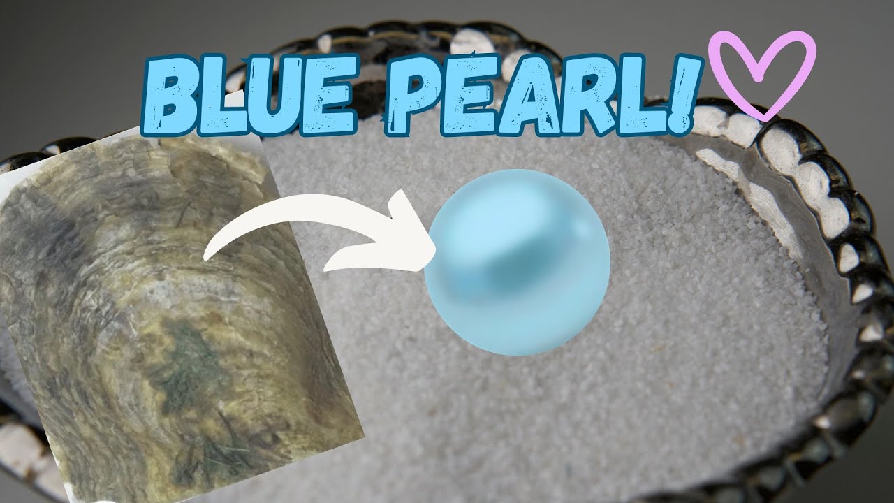 First EVER baby Blue Pearl! (Reveal 17107 -17128)