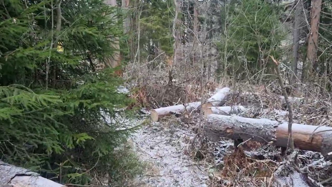 Alajokiluonnon syysseuranta, osa 13