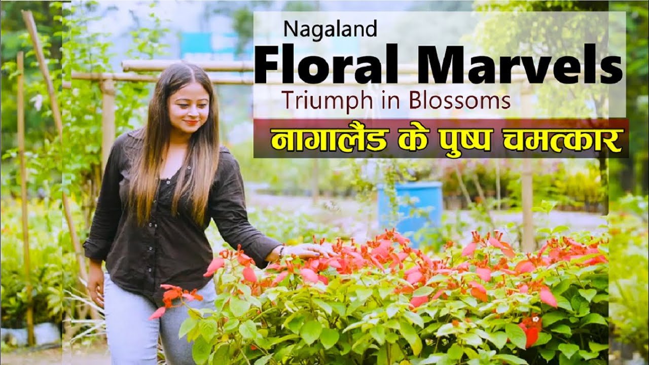 Floral Marvels of Nagaland I Nature & Flowers