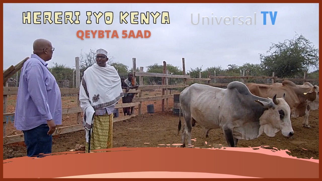 Hereri & Kenya qaybta 5aad