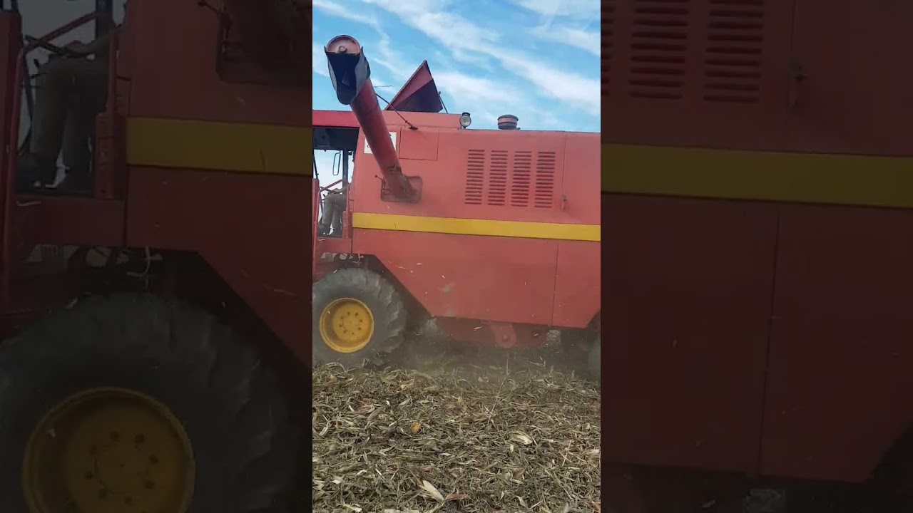 zmaj 143 vrsaj kukuruza brodac