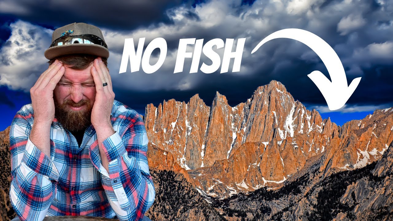 Sierra Nevada Mountains Fishless | Heritage Trout Mapping E10 | Yellow-Legged Mountain Frog