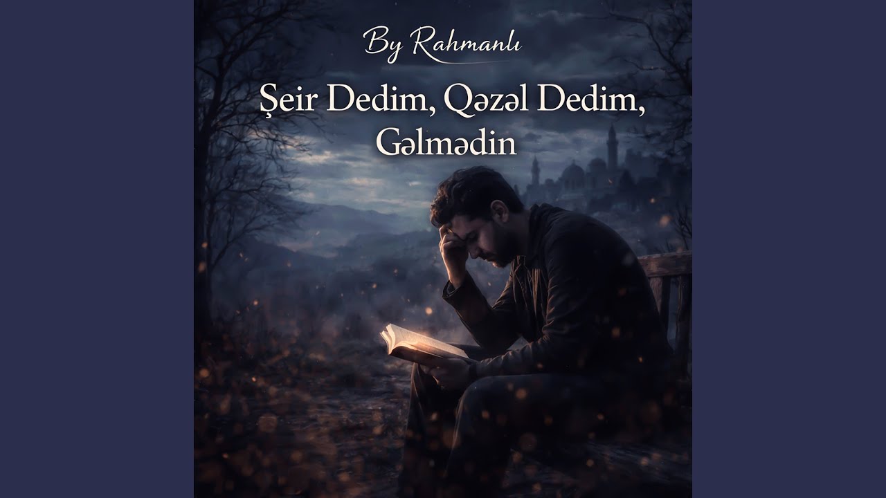 Şeir Dedim Qəzəl Dedim Gəlmədin