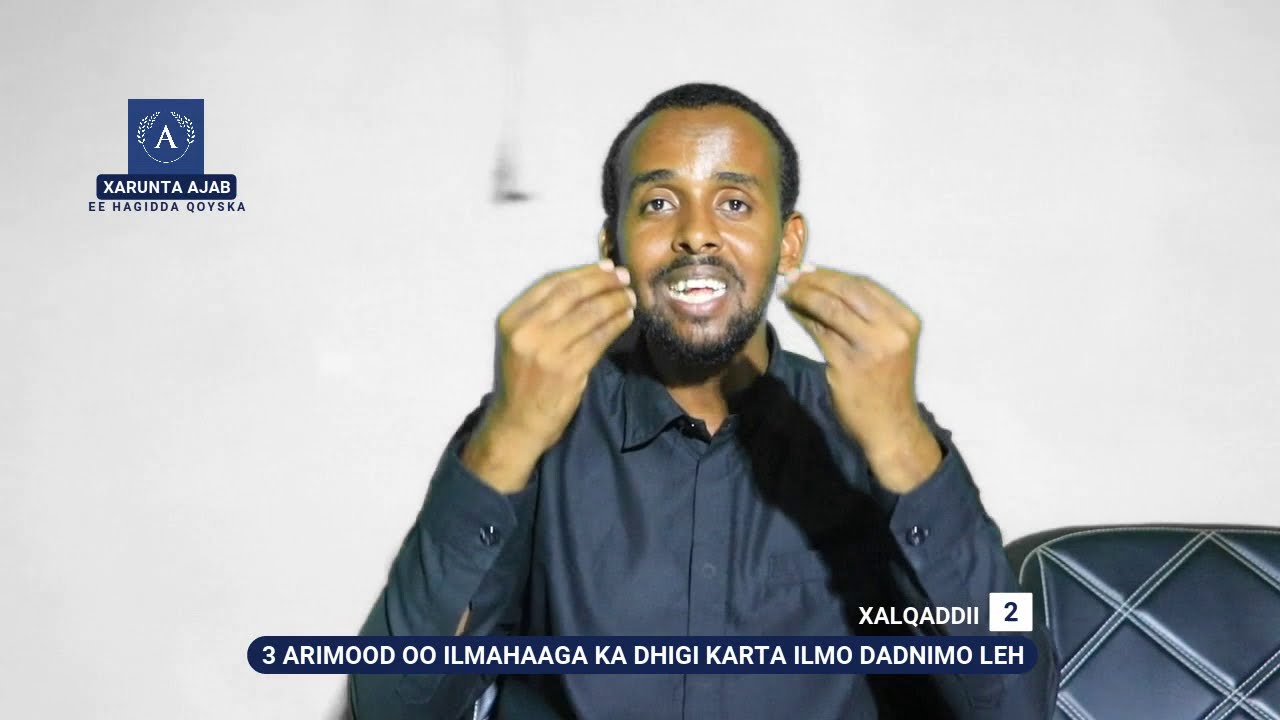 3 Arimood oo ilmahaaga ka dhigi kara mid karti leh