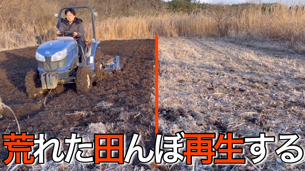 放置された田んぼ再生計画
