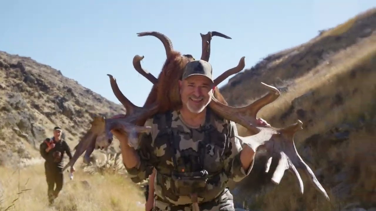 Red stag hunt in New Zealand- the full experience