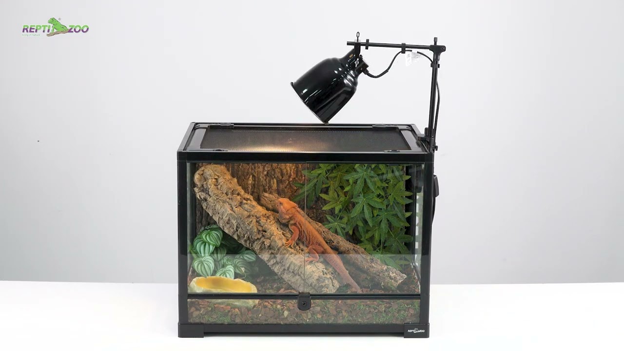 REPTIZOO Multi function deep dome lamp fixture