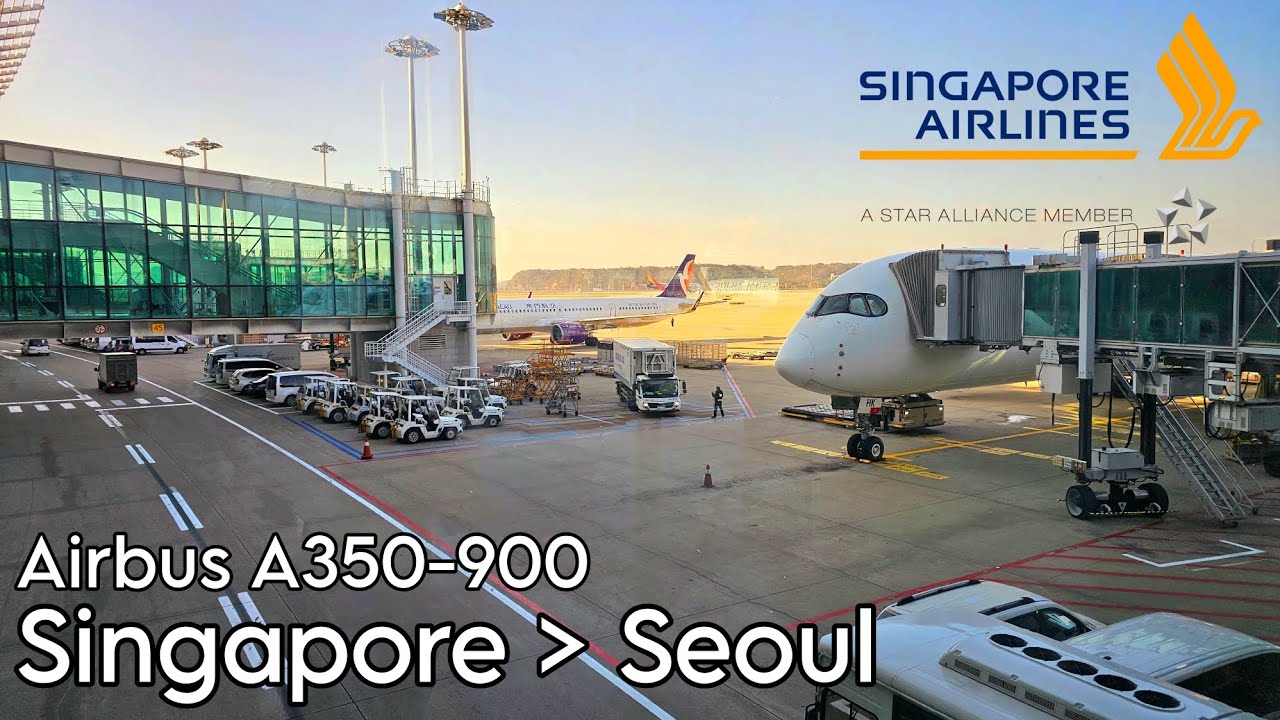 Red Eye Flight! | Singapore Airlines Airbus A350-900 Economy Class | Singapore - Seoul