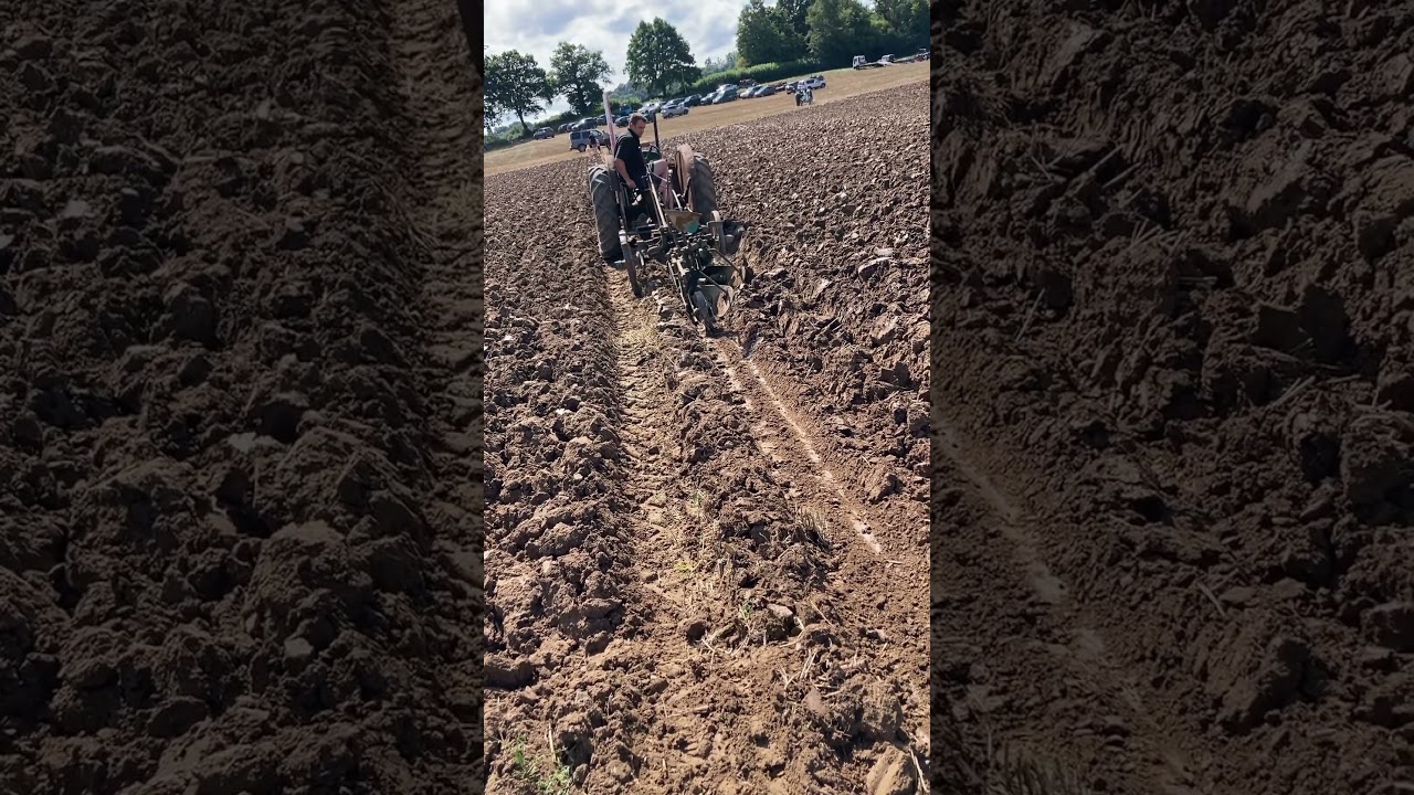 Ploughing the finish run back with Fordson n with ransomes rsld