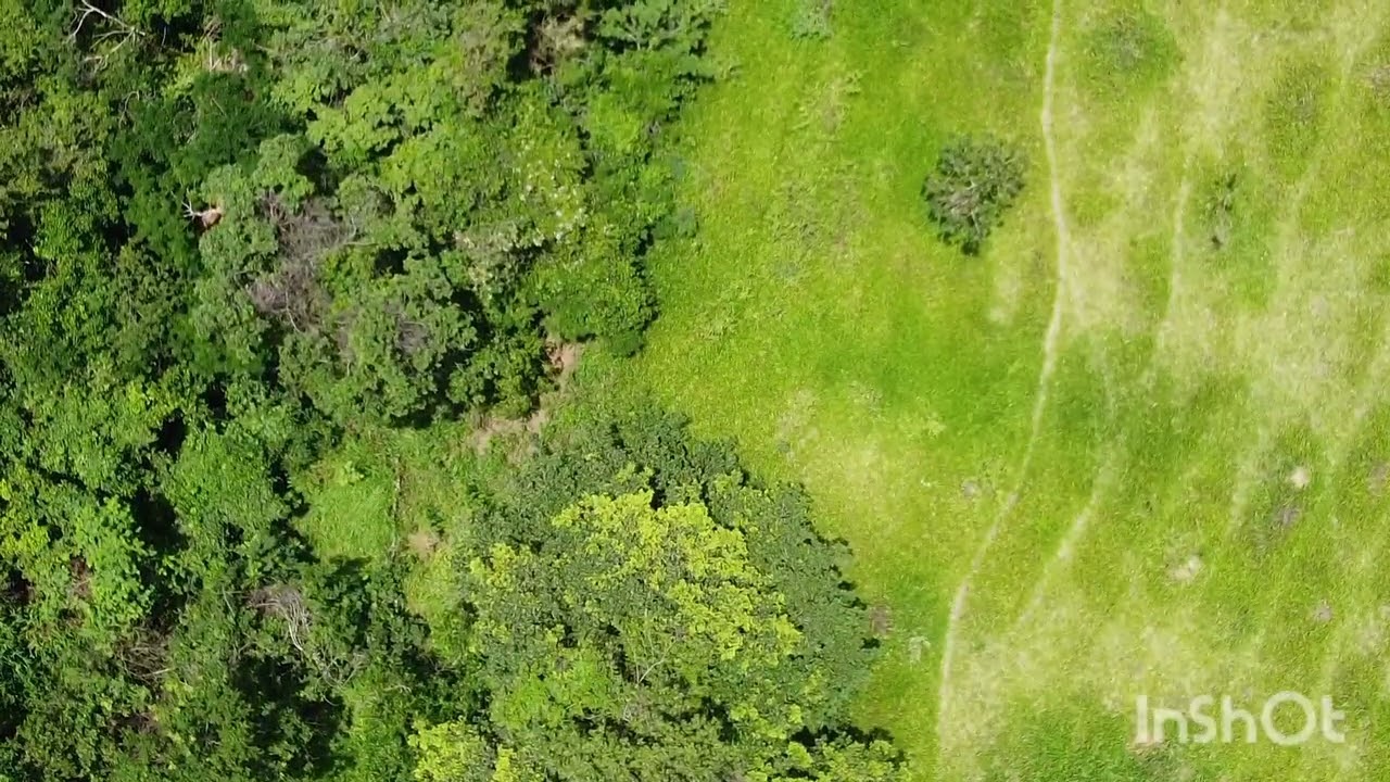 Um lindo voo pelos Campos de Soledade