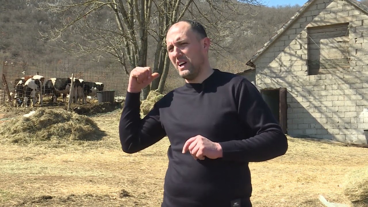 AGROSAZNANJE - Farma romanovskih ovaca sa Bihora