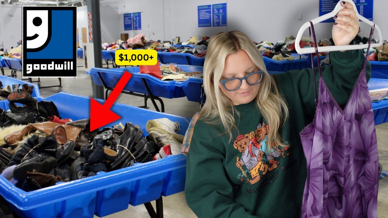 I HAD to SNATCH This the Moment I Saw it! | Goodwill Bins Thrift Haul!