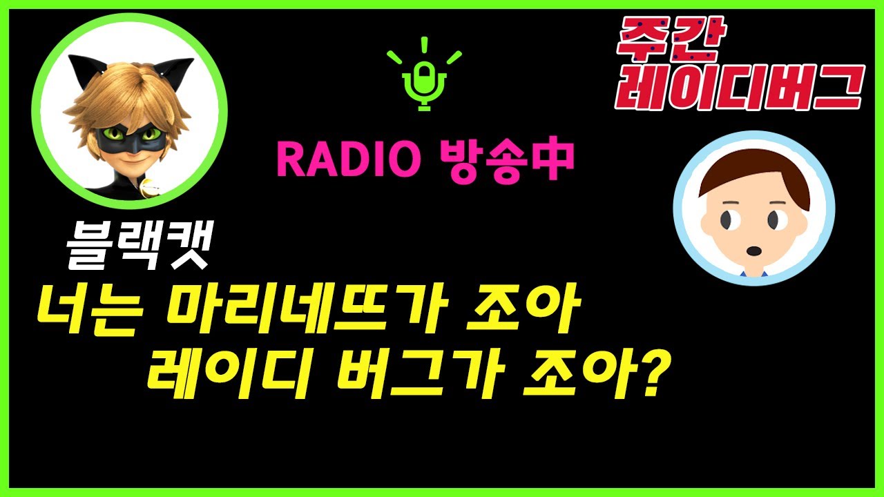 블랙캣 성우의 충격적인 답변..!!!