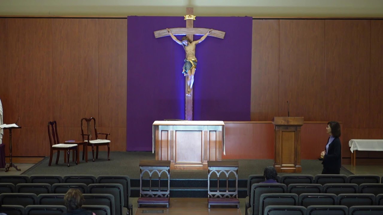 STM Livestream: 8AM Monday Mass