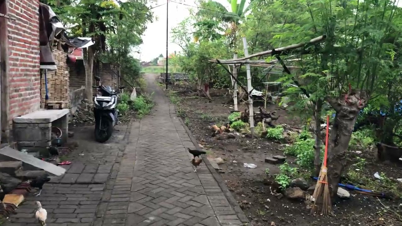Virtual Walking in the Village with Original Sound without Editing