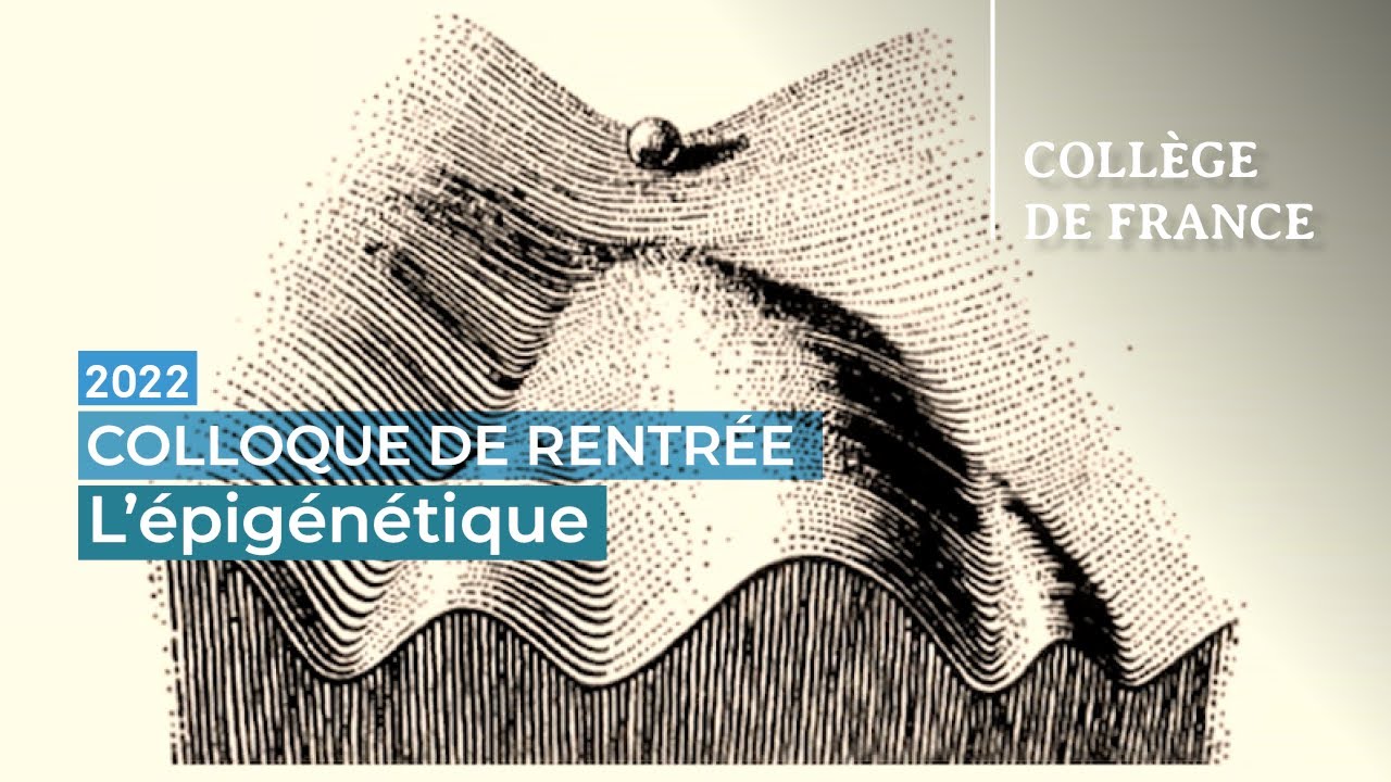 L'épigénétique : au-delà du code génétique et les lois de l’hérédité ? - Edith Heard