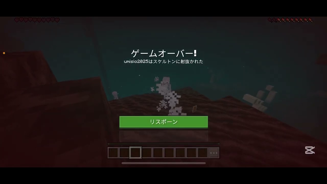 うみイカ1２