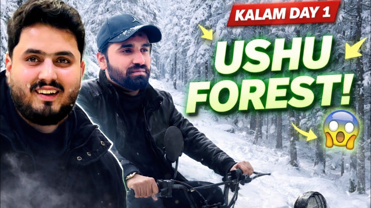 Pakistan Ya Switzerland? 😍 Ushu Forest Ka Ye Roop Pehle Kabhi Nahi Dekha! 