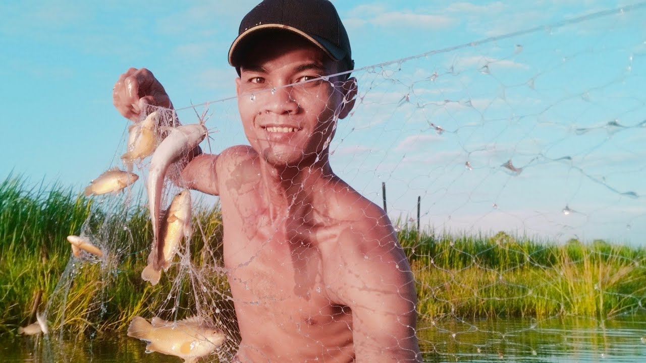 Net Fishing In the Canal Get many fishes /Khmer Fishing/Fishing Videos - PU MENG Fishing