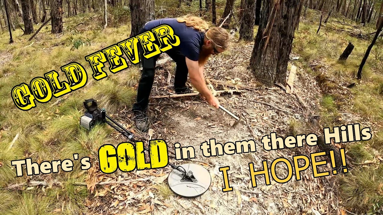 There's GOLD in them there Hills........ I hope!