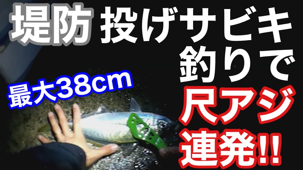 堤防投げサビキ釣りで尺アジ連発！メガアジの下処理まで紹介【釣り日記2020】