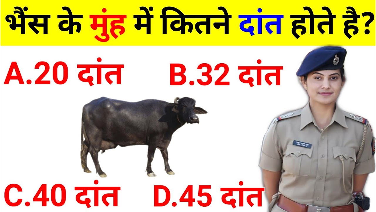 GK || GK Question || General Knowledge Most Important Question || GK Quiz || BR GK STUDY ||