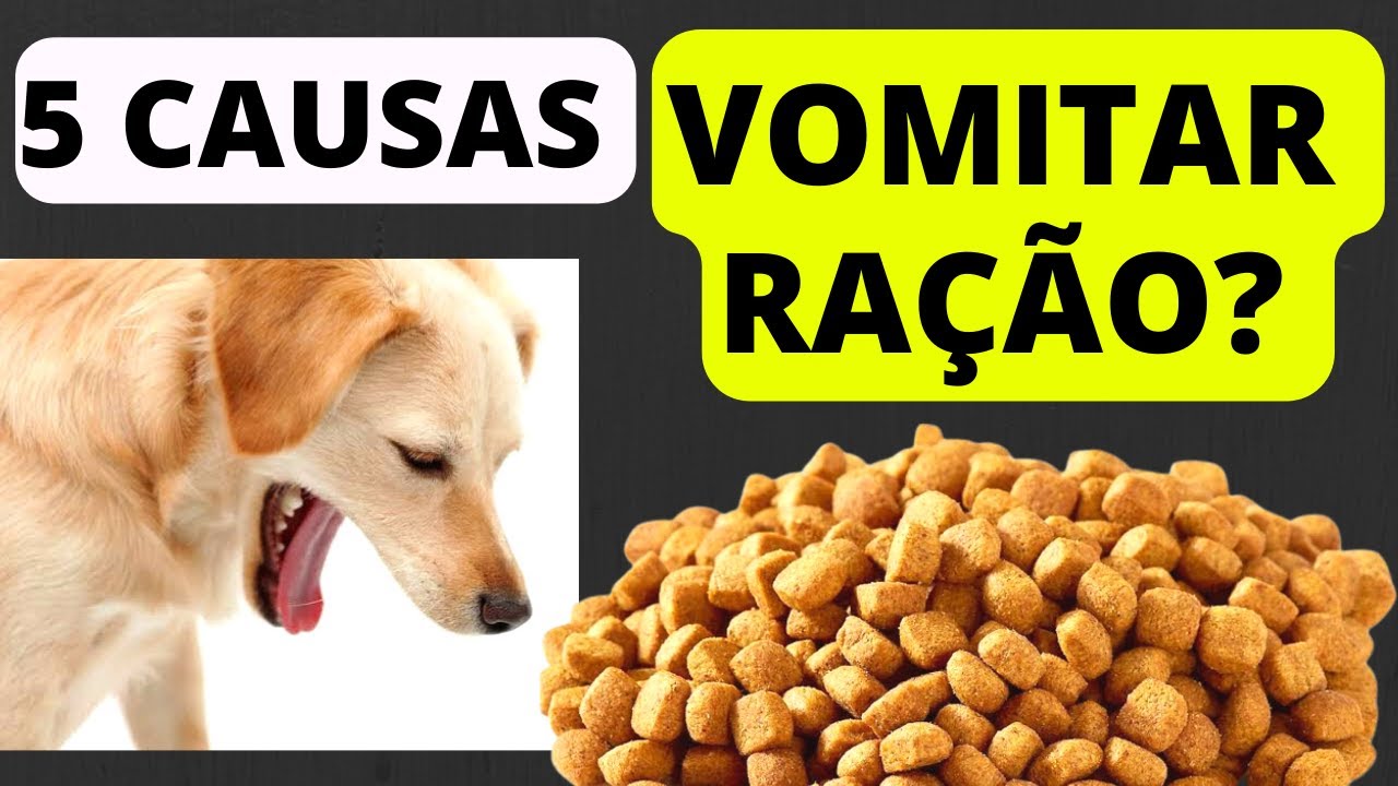 5 causas C&Atilde;O VOMITAR RA&Ccedil;&Atilde;O!!