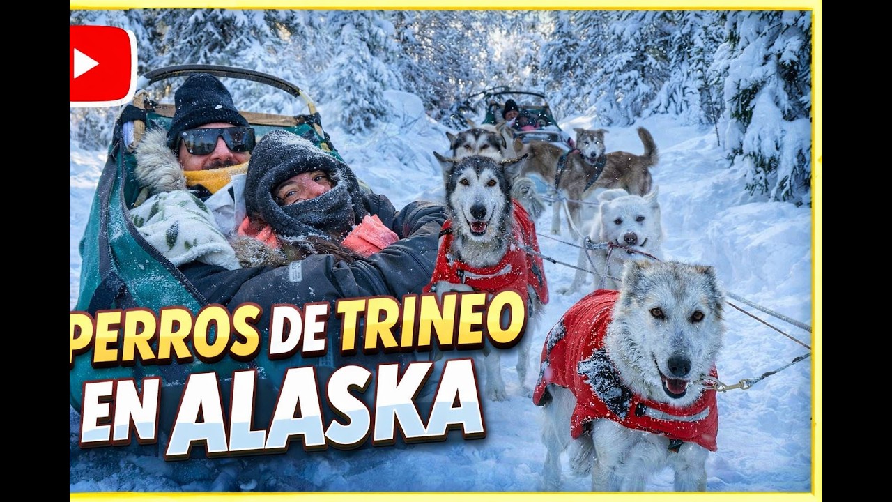 Dog sledding//Mushing - Fairbanks Alaska - Paseo de trineo con perros en Alaska!