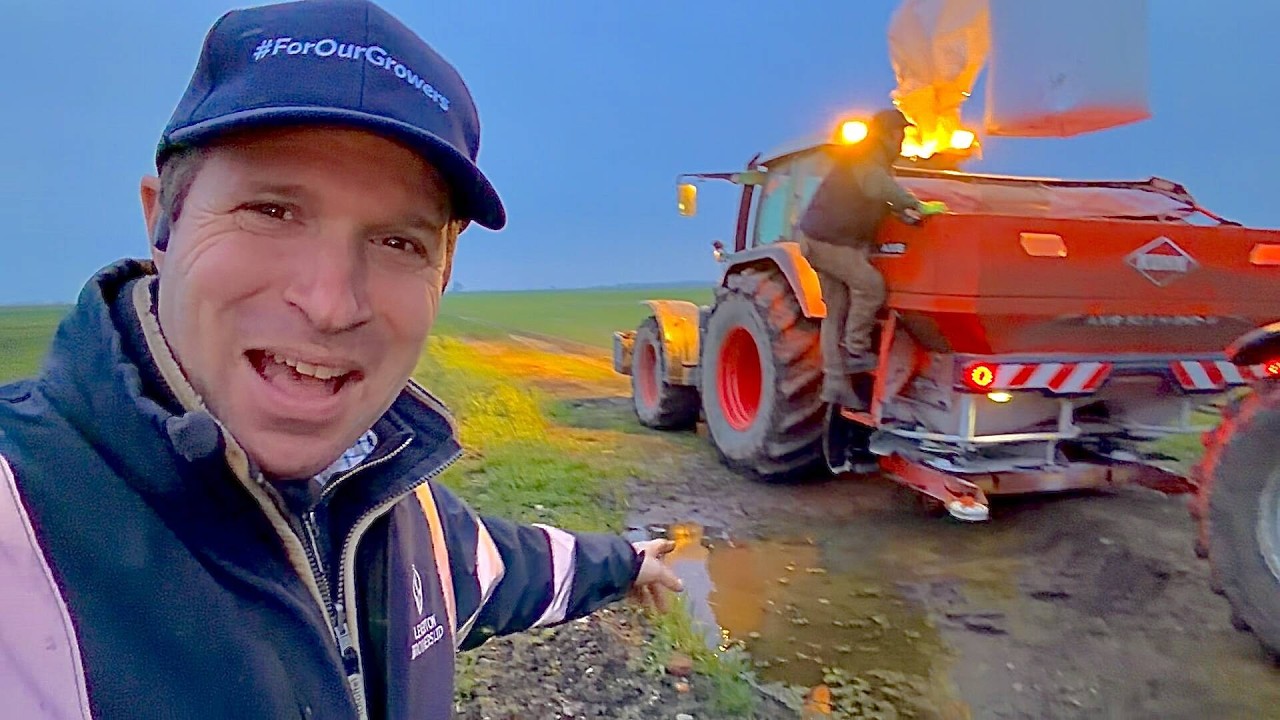 Что мы наделали! | Выходим в поле!
