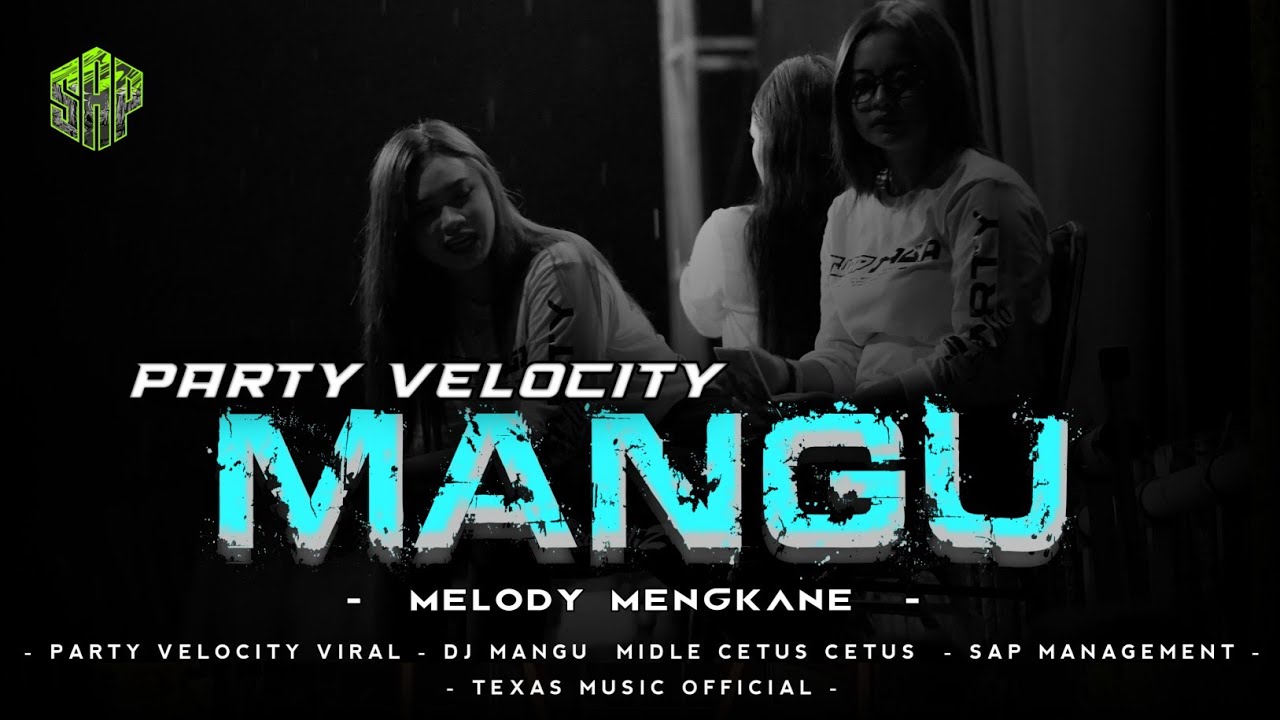 DJ MANGU TRAP PARTY NGGAYENG TERBARU BASS HOREG COCOK BUAT KARNAVAL || ADBYN
