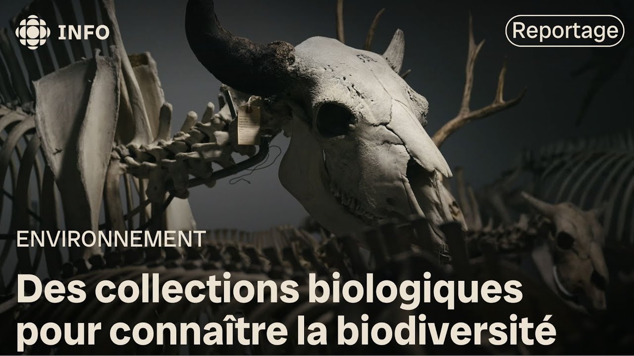 Des collections biologiques pour connaître la biodiversité | La semaine verte