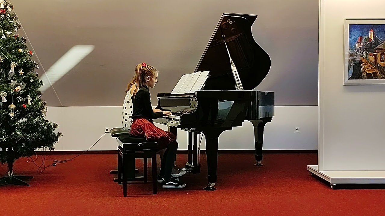 ZUŠ Senica Jankovýchová N , Rohoňová L