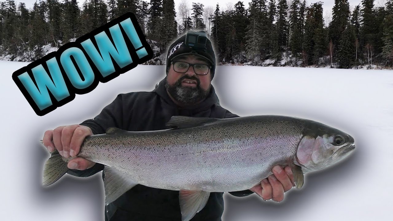Ice Fishing for GIANT Rainbow Trout | EPIC DAY!