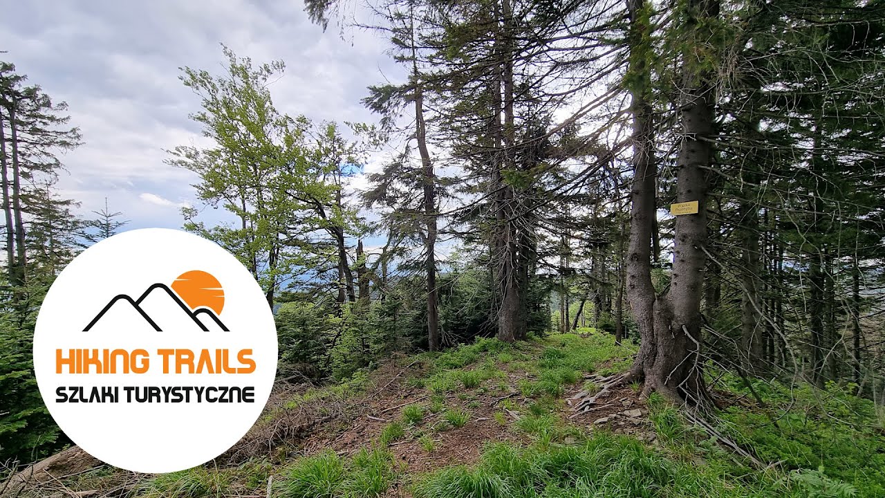 🇵🇱 Beskid Sądecki: WIELKA PRZEHYBA / Sącz Beskid Mountains: WIELKA PRZEHYBA MOUNTAIN