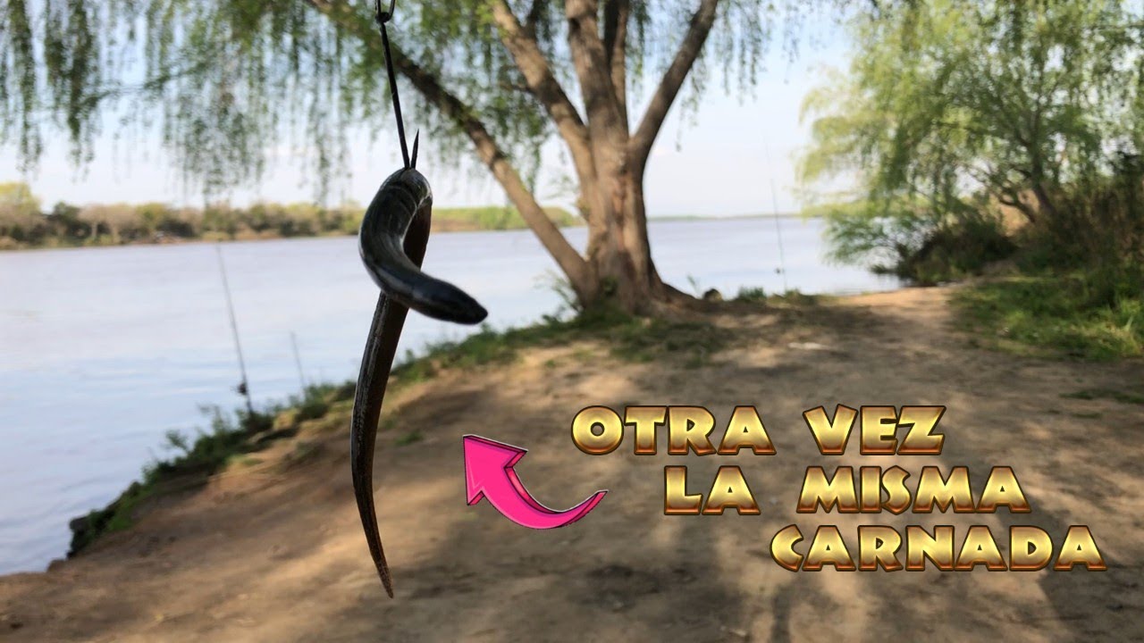 PESCA EN LA ISLA EL DORADO /EL CHUZA PESCA !!!