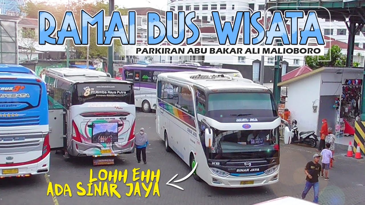 BUS WISATA JOGJA MULAI RAMAI |  HUNTING PARKIRAN BUS MALIOBORO JOGJA