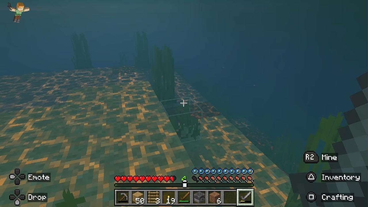 Minecraft survival