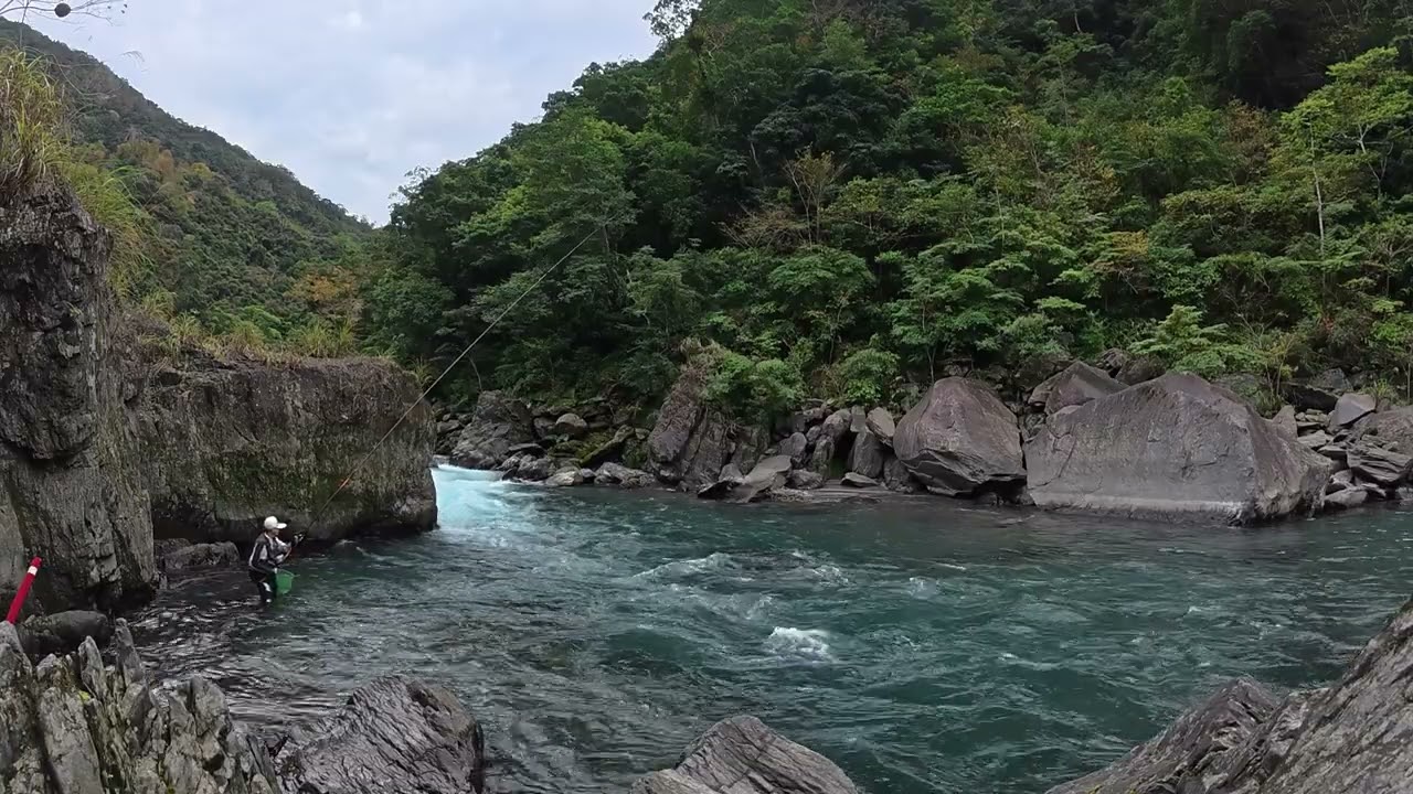 冬天 量少良形多 操長竿增加中魚率  遲遲等不到適合釣苦花10.5米竿…. #fishing #苦花 #本流釣り 