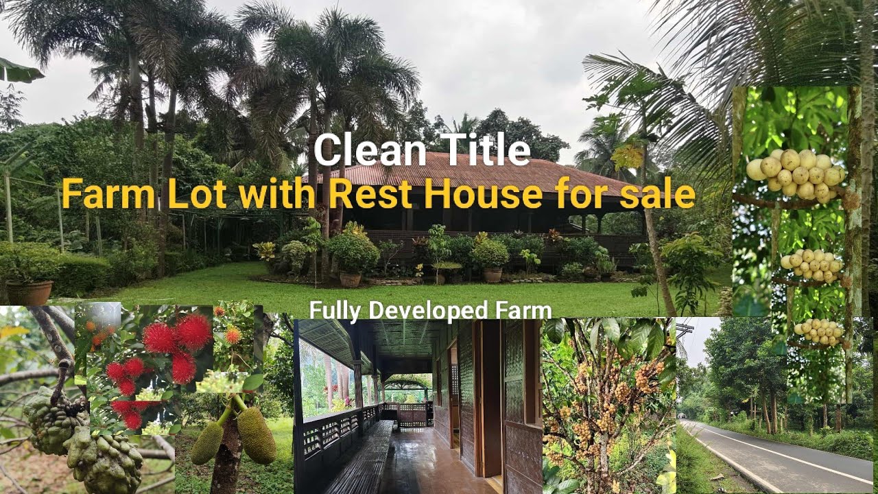 #Vlog373 CLEAN TITLE FULLY DEVELOPED FARM LOT with REST HOUSE FOR SALE