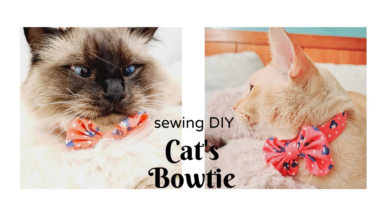 Sewing DIY Cat's Bowtie Collar; 냥이 보타이 만들기