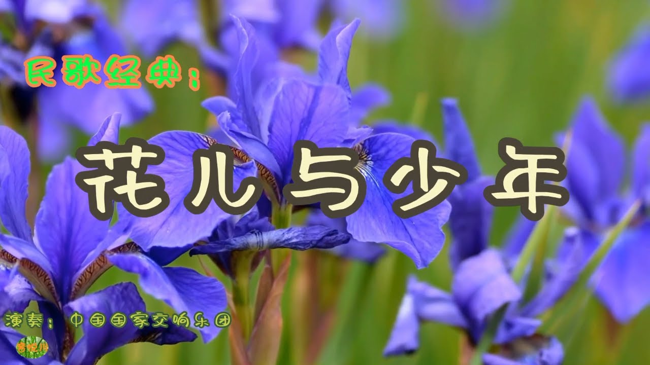 花儿与少年 - 青海民歌。演奏：中国国家交响乐团