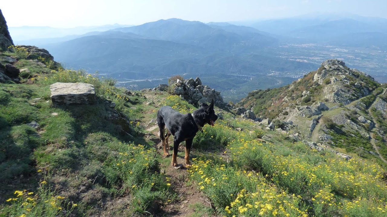 SANT CRISTAU Montesquieu des Albères YOUTUBE